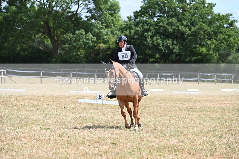 WJ6_3492 - Time 11:34 to 11:43