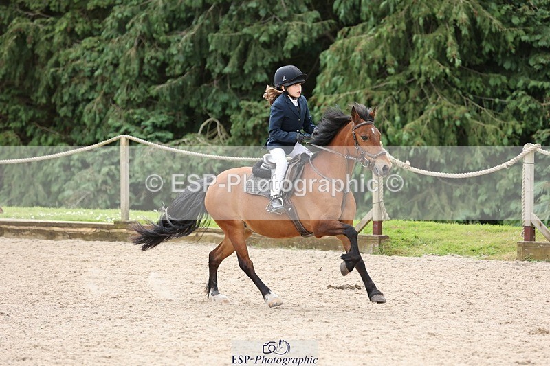 240616-104437-03154 - 60cm