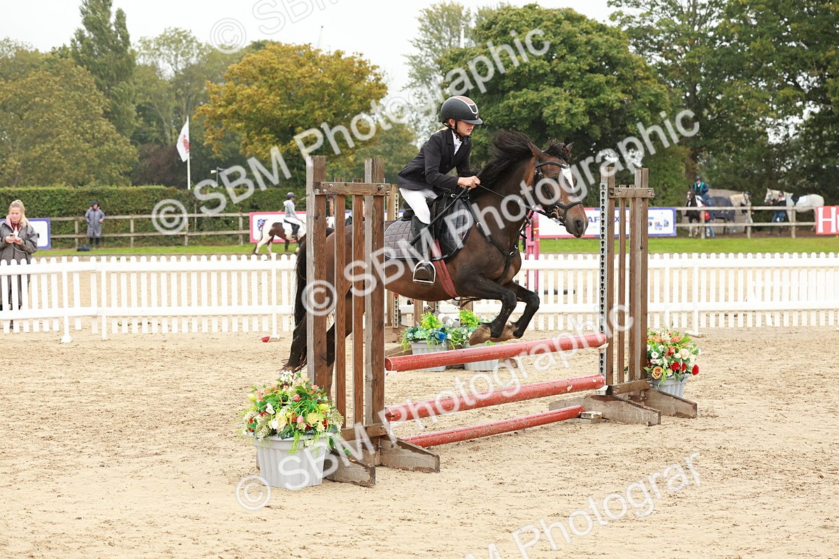 SBM_71098 - J14 - Junior Pony 65cm Championship