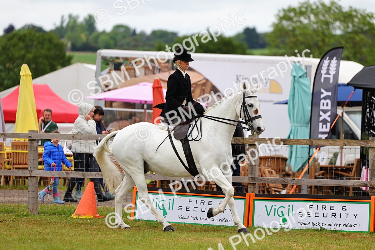SBM_02718 - Class 9-11 Side Saddle including LIHS Rising Star Ladies Show Horse