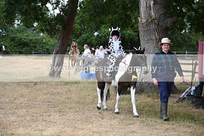 WJ6_8924 - Class 11 Fancy Dress