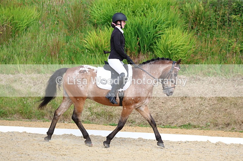 3E7A1435 - Class 2: Intro 2 2024 Section B