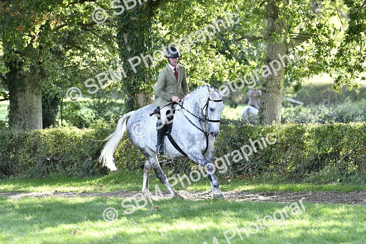 SBM_52221 - S35 - Working Hunter & Working Show Horse