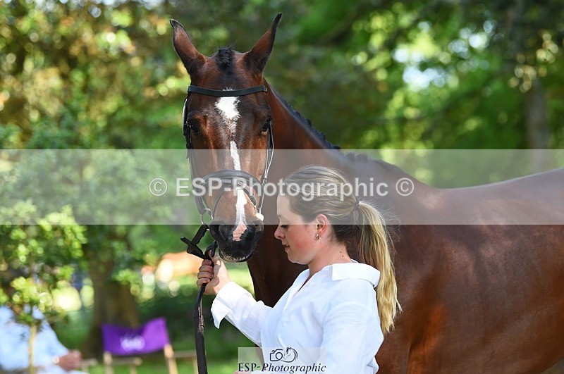 230524-162442-00857 - 101-INTERFIELDS_ABOUDDI-Saffron_Cresswell-WEDTrotUp+DR