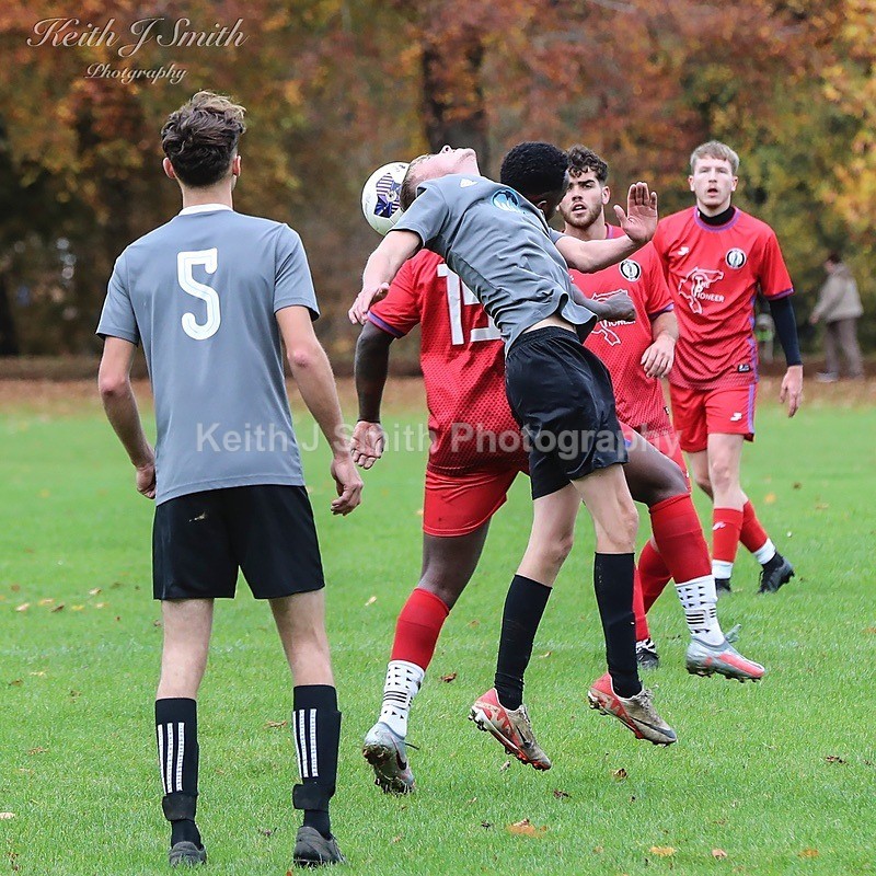 9KJS0177 - AFC spinney