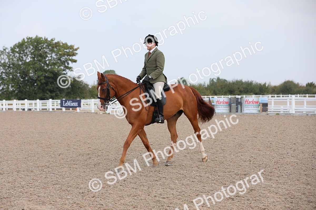SBM_11437 - Class 305 Ridden Foreign Breeds- Pure Bred