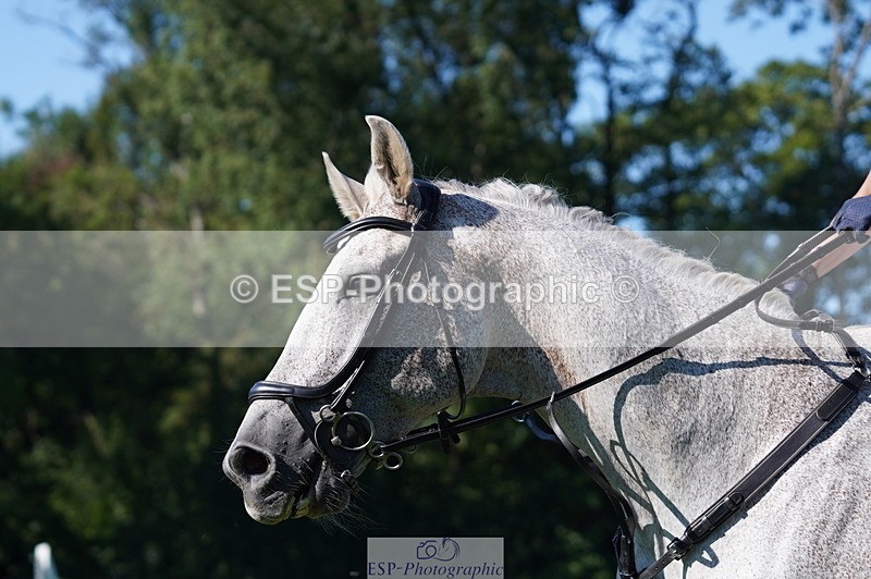 240811A-165438-06467 - 418-