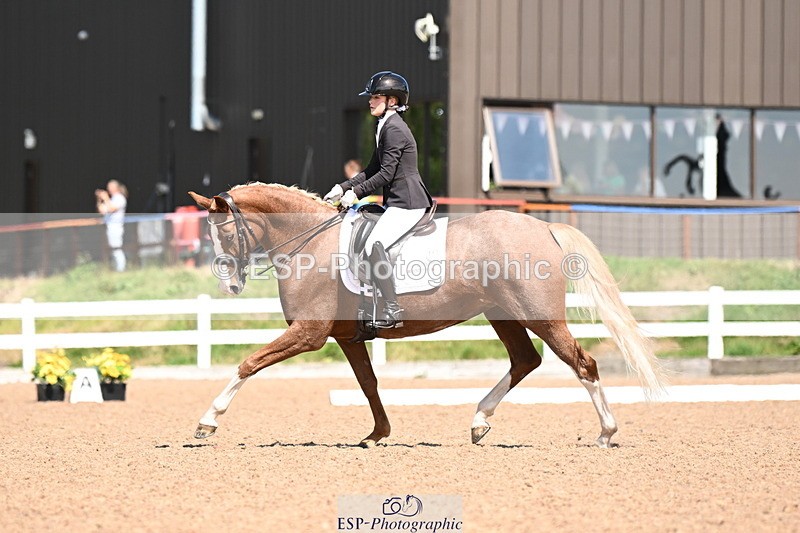 240816A-131720-05017 - 113-Ruby.Gumbley-Nova's.Golden.Dream