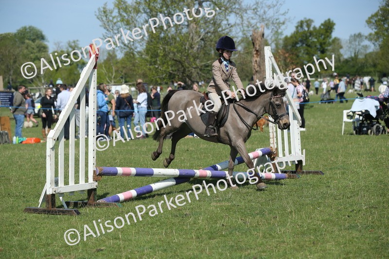20250427-1923 - Class 2 - Mini Jumping 30cm