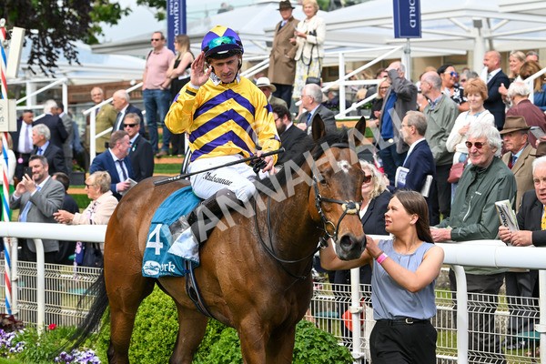 150525-American Affair-3788 - Race 1 2.10pm Lindum York Handicap