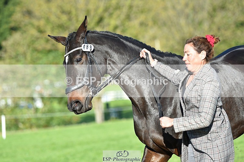 231022-101334-22319 - 468-PRIMITIVE.DAYLIGHT-Alexandra.Erskine.Scott-TrotUp+SJ