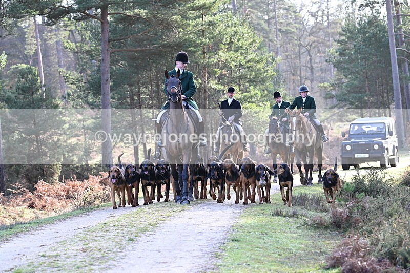 WJ7_7671 - Line 3 (no line 4 or 5)