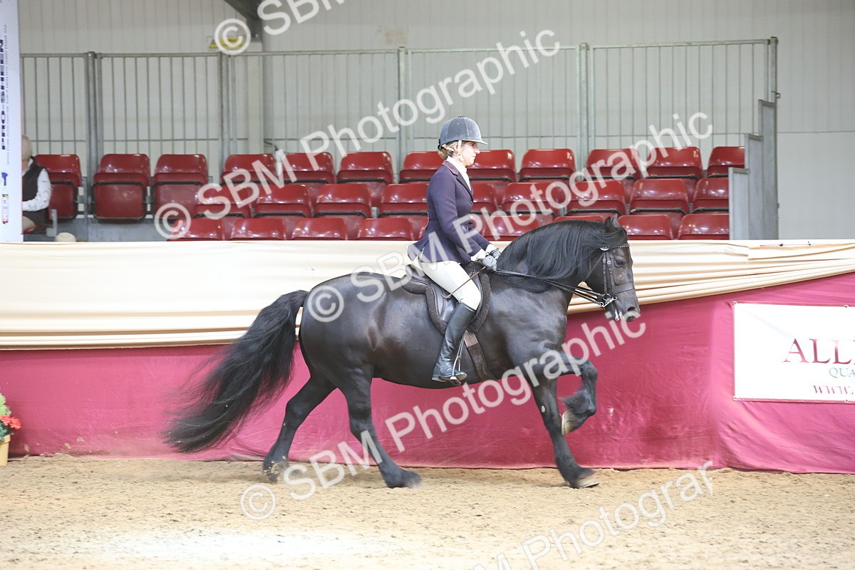 SBM_23737 - class 906 - Supreme Final - Ridden Pre Vet