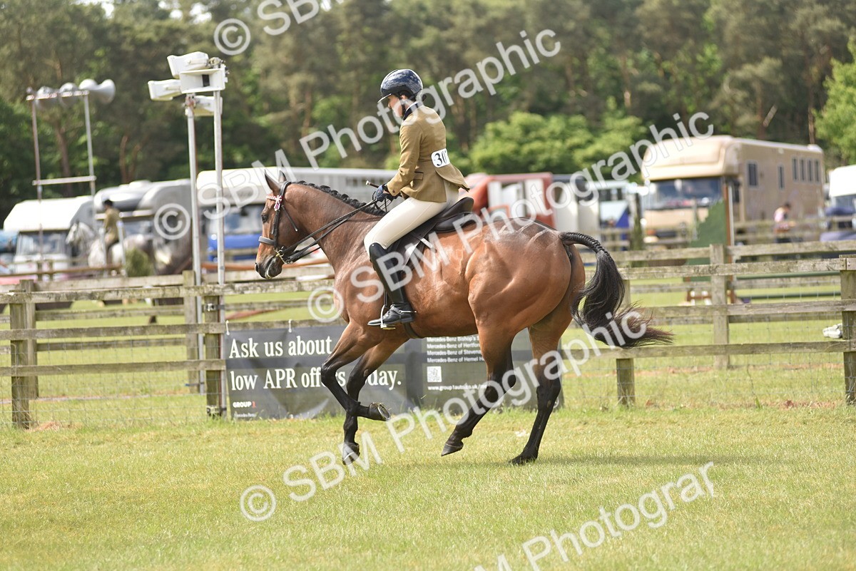 SBM_15104 - Class 113-114 - Retraining of Racehorses Ridden