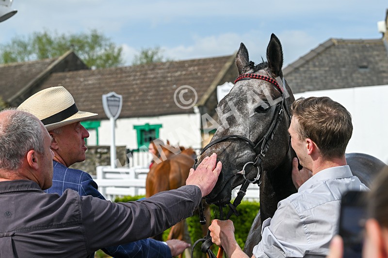 130524-Race 6-Stellarmasterpiece-0983 - Race 6