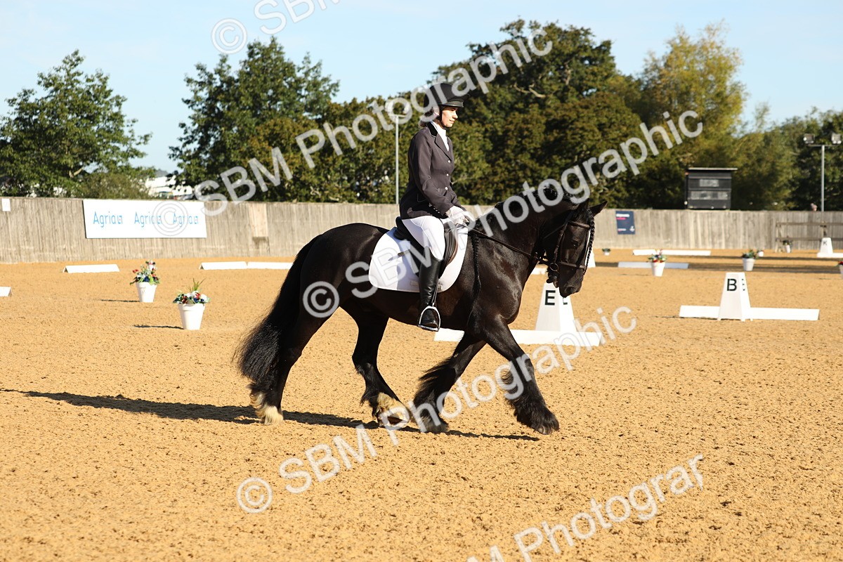 SBM_16421 - D10 - Small Tour Championship - Prelim 2