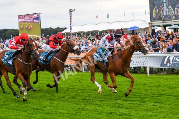 280723-Race 4-Cairn Gorm-0434 - Race 4 6.40pm Tomahawk Restaurants Handicap