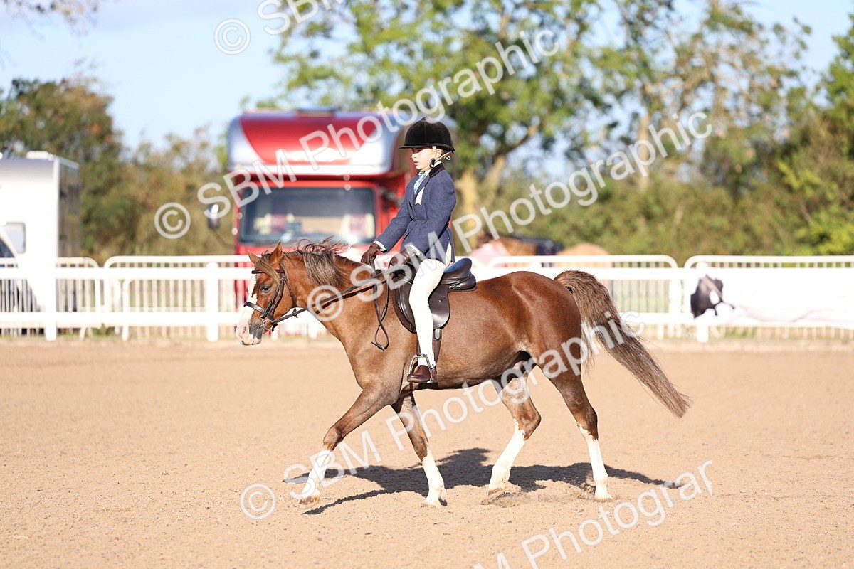 SBM_07811 - Class 301 - Ridden M&M - Small Breeds