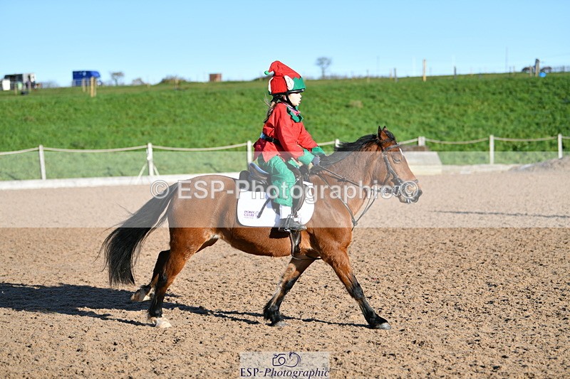 231202A-125950-01361 - Cls 02 50cm