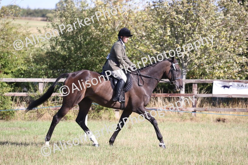 20260906-0409 - Class 14 - Ex Racehorse