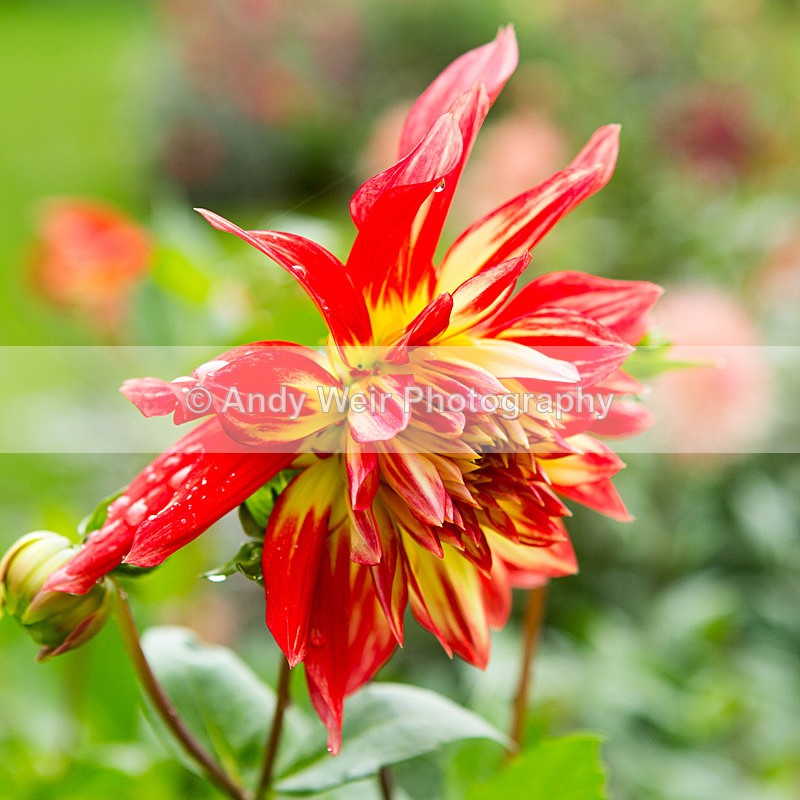 20131002-3K8A6758 - Plants & Flowers