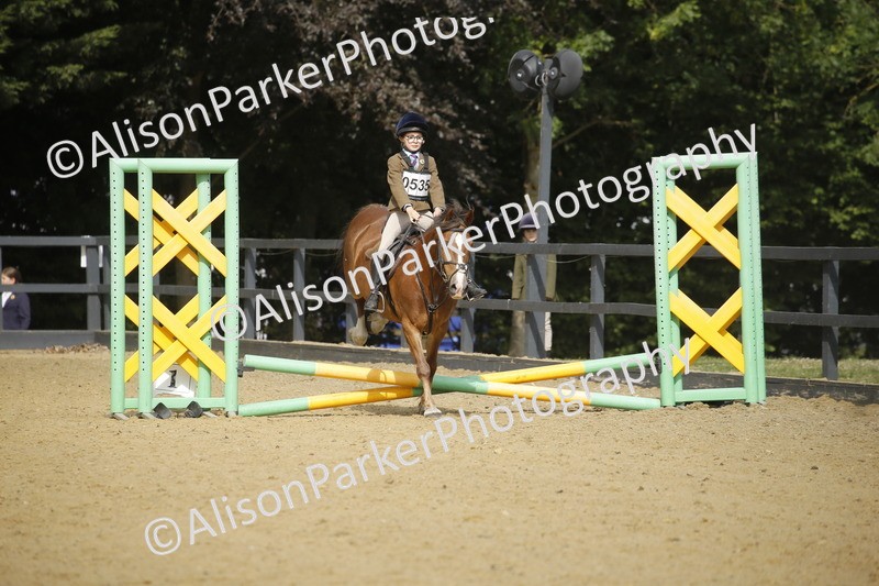 20250622-1585 - 40cm