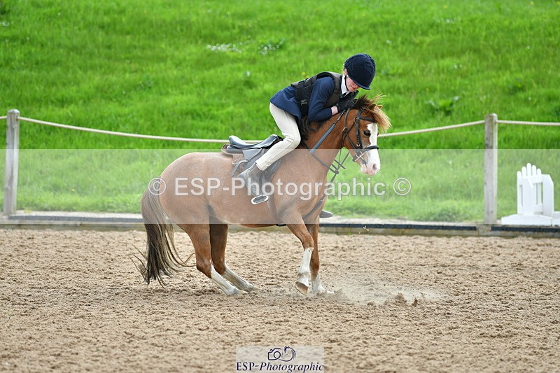 230513A-100701-00281 - Cls 12 Cats & Pipes Champ Quali