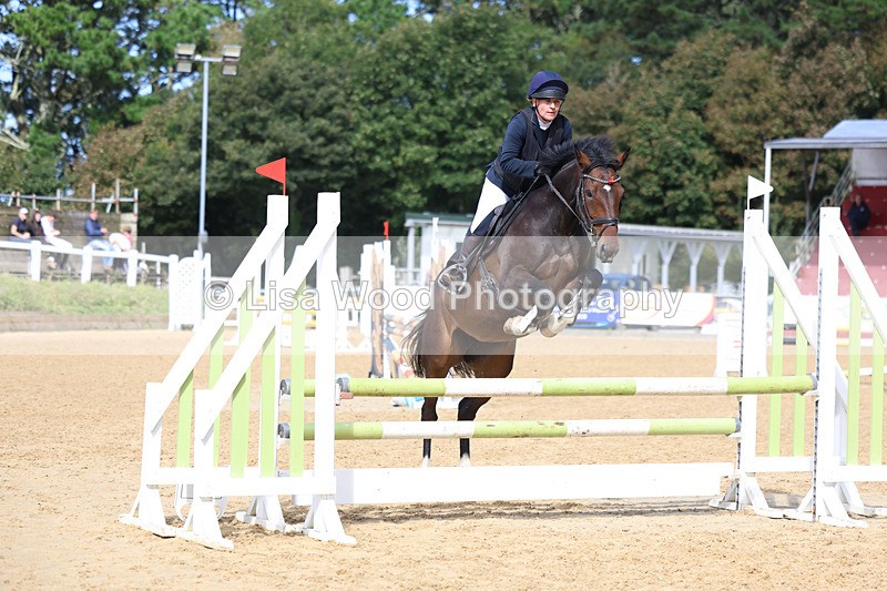 3E7A9152 - Class 9: Senior British Novice/90cm open