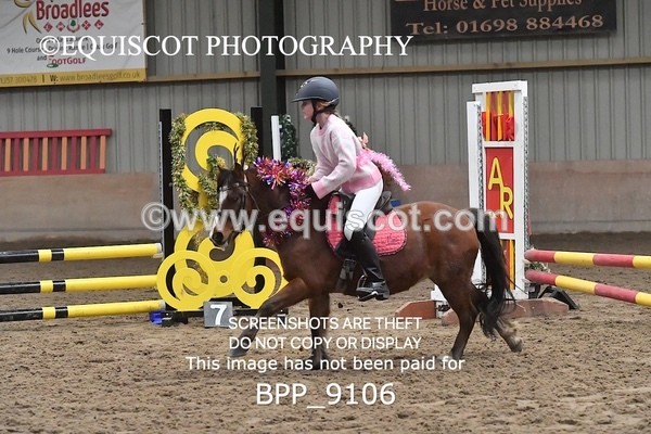 BPP_9106 - CLASS 3 50CM-70CM Pairs Show Jumping