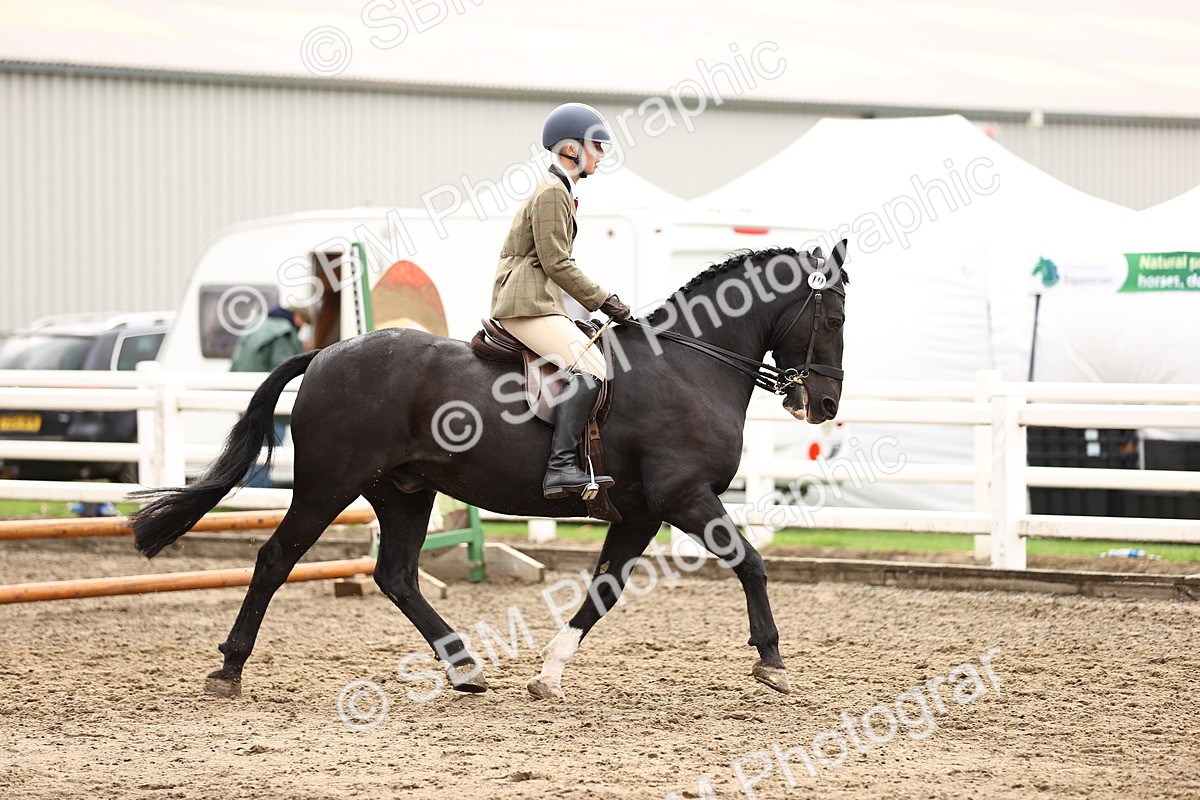 SBM_00546 - Class 53 - Ridden Competition Horse Pony