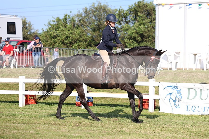 3E7A5313 - Class 2: Rising Star Large Hack/Riding Horse