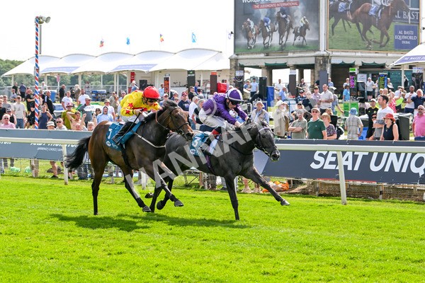 130625-Race 4-India Love-9250 - Race 4 3.35pm Juddmonte EBF Fillies' Restricted Novice Stakes
