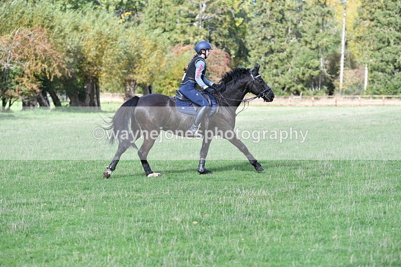 WJ5_7953 - Time 10:31 to 12:01