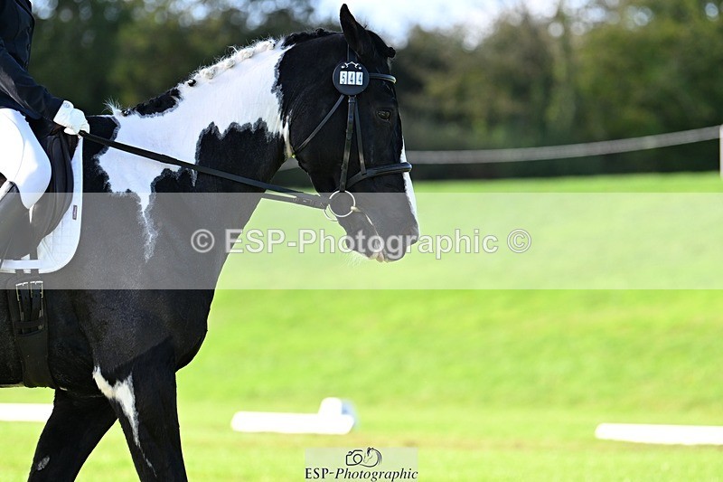 241025-111033-07082 - 544-Natasha.Crapper-KILCORBAN.MY.FAIR.LADY