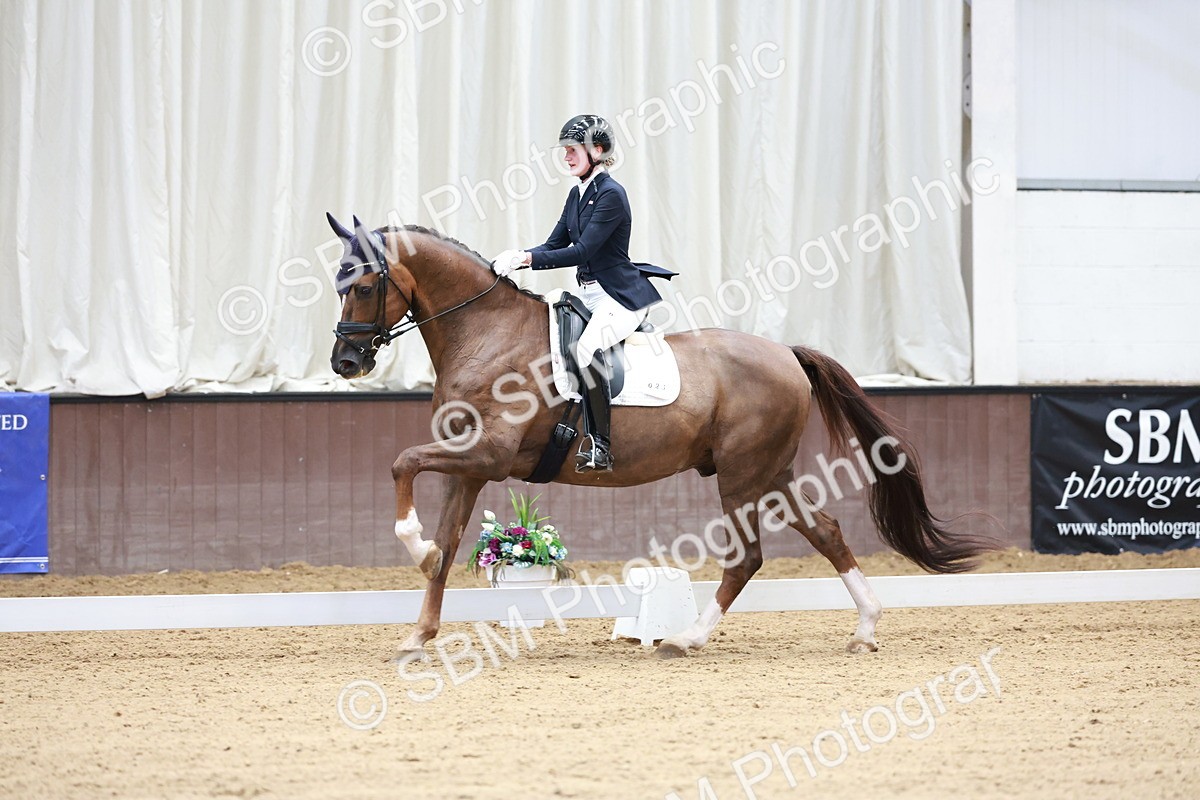 SBM_017722 - Class 15 - FEI Junior