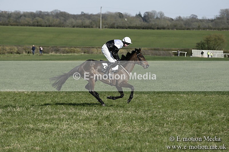 PtP 250317 251 - V.W.H. Hunt Point-to-Point Siddington 25/03/17