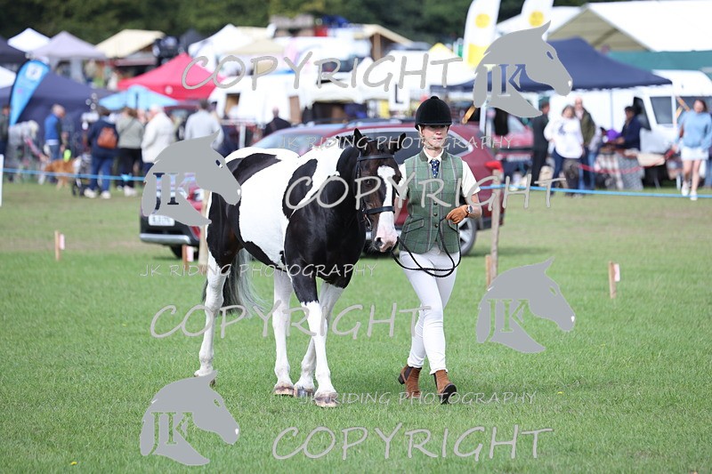 APP_2653 - Class 9 Veterans in hand