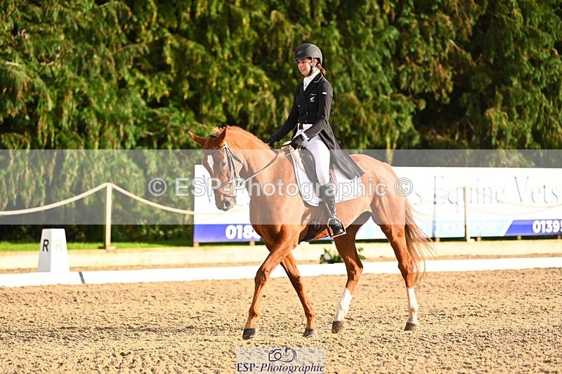 231021-161731-21076 - 265-EG.TIGER.CHILLI-Tayla.Mason-DR