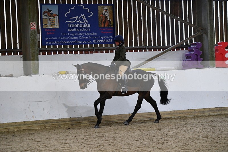 WJ5_8011 - Class 13 Ridden Part Breed