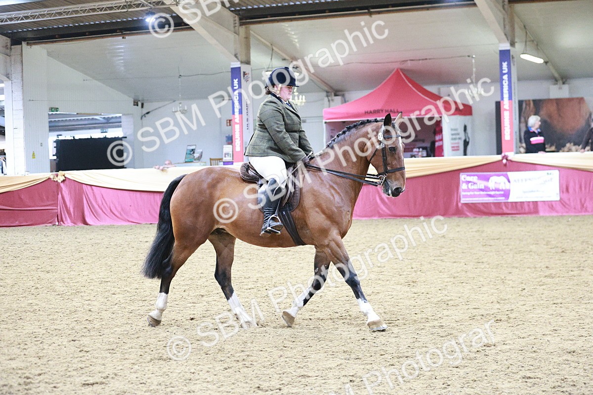 SBM_08206 - Class 11R - Regional Ridden Veteran