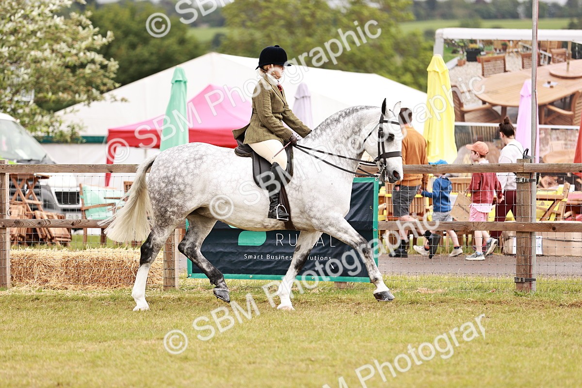 SBM_12991 - Class 85-87 - RIHS Cobs