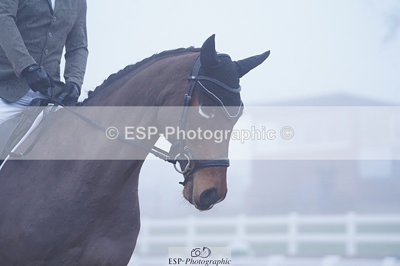 250215-101410-02779 - 113-Andrew.Parry-Wilmine