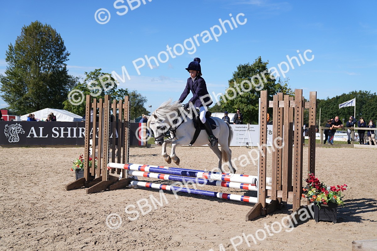 SBM_19478 - J57 - Clear Round 50cm