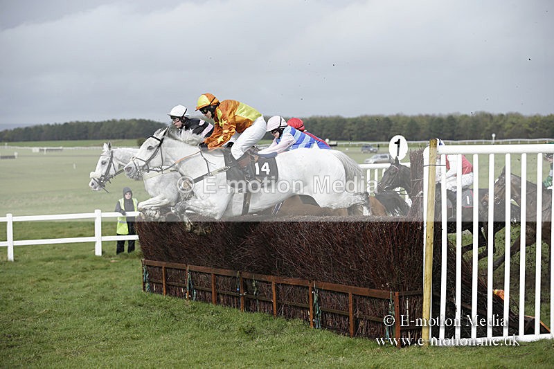 PtP 150320 0386 - New Forest Point-to-Point Larkhill 15/03/20