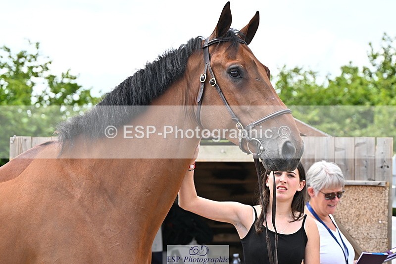 240718A-105323-01922 - Trot Up 2pm to 3pm - This folder is not in time order