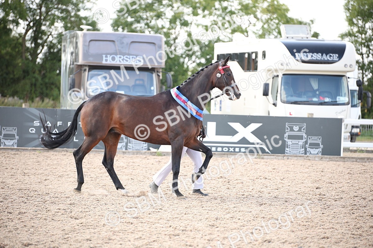 SBM_07147 - Class 25 IH Foreign Breeds- Pure bred
