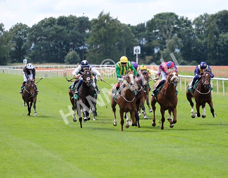 260724-Race 3-Lovat Scout-01 - Race 3