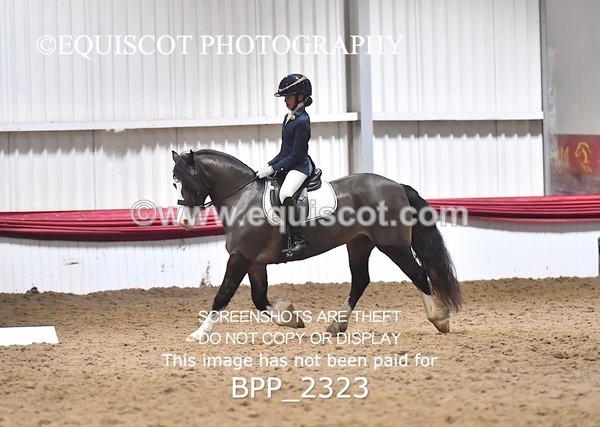 BPP_2323 - 30 - C SAUNDERS