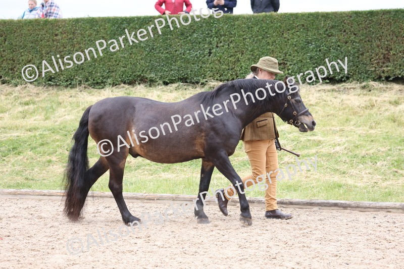 20250524-0616 - Class 7 - Veteran