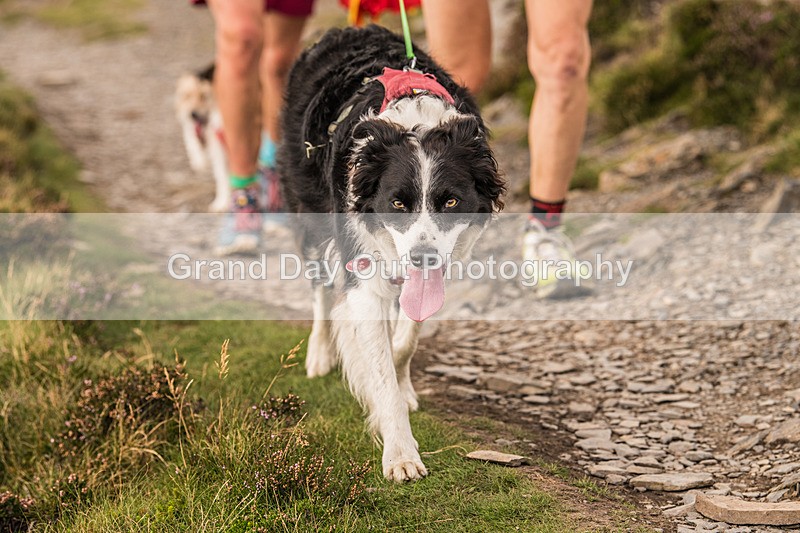 Uphill Only-4 - British Athletics Off Road Running Championships Senior Uphill Only Trial - Skiddaw Friday 15th Augu